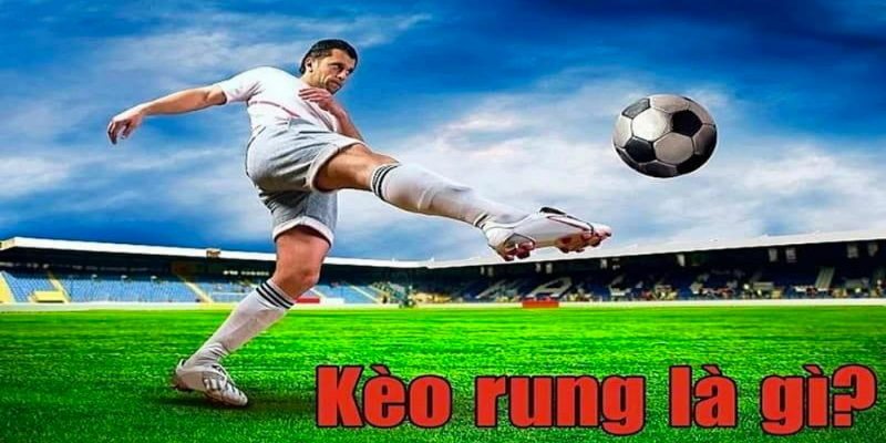 Tổng quan về kèo rung tại Miso88